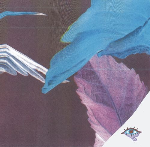 Troth (Experimental) - Forget The Curse - Import Vinyl LP Record