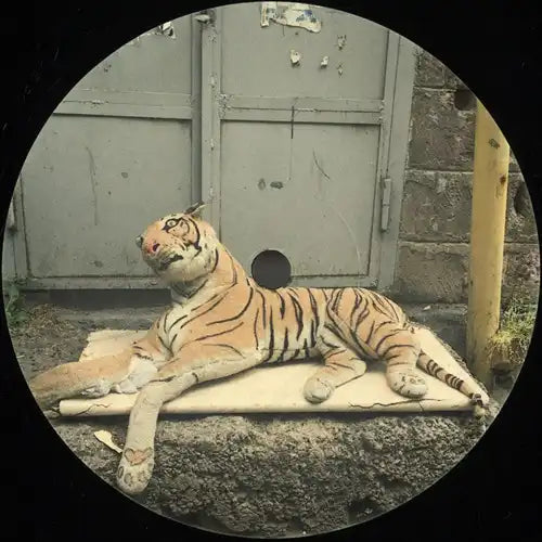 V.A. (Cuepoint) - Soe - Import Vinyl 12inch Record