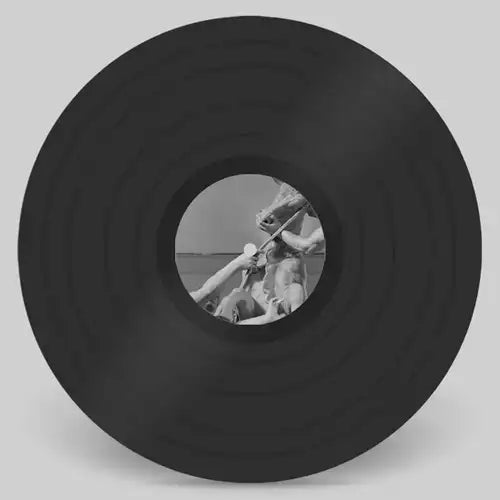 Al Wootton - Calvinist Hospitality - Import Vinyl 12 inch Record