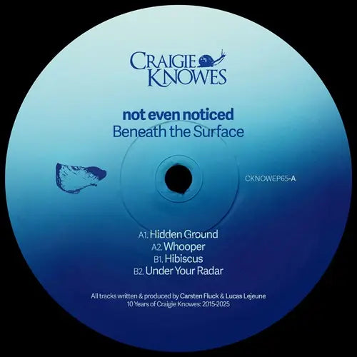 Not Even Noticed - Beneath The Surface - Import Vinyl 12inch Record