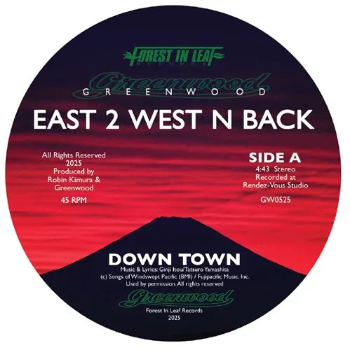 Greenwood - Down Town / Magic Ways - Import Vinyl 7 inch Single Record
