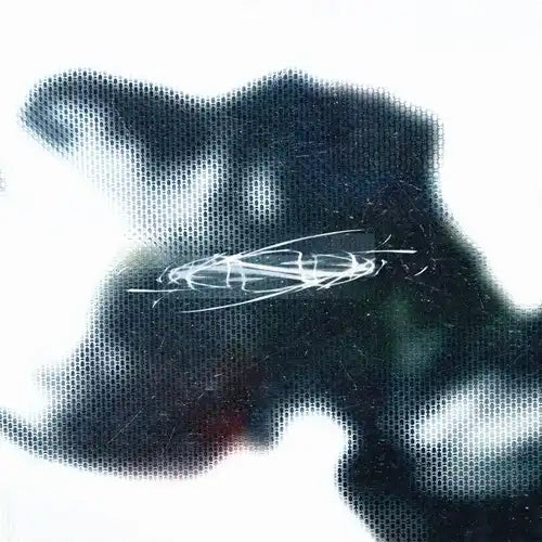 Conna Haraway - Spatial Fix - Import Vinyl 12 inch Record