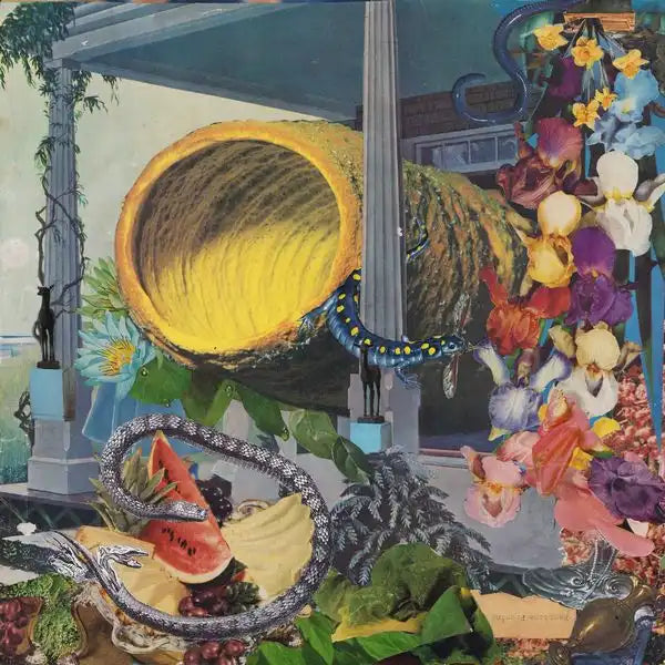 Memotone - Pruning - Import Vinyl LP Record