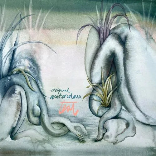 Teal - Original Watercolour - Import Vinyl LP Record