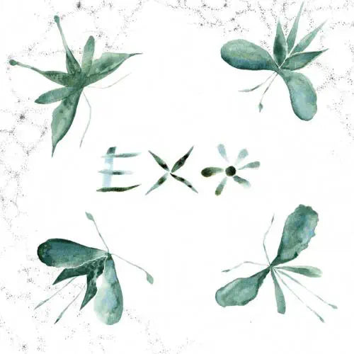 Exo (Punk) - Exo  - Import LP Record