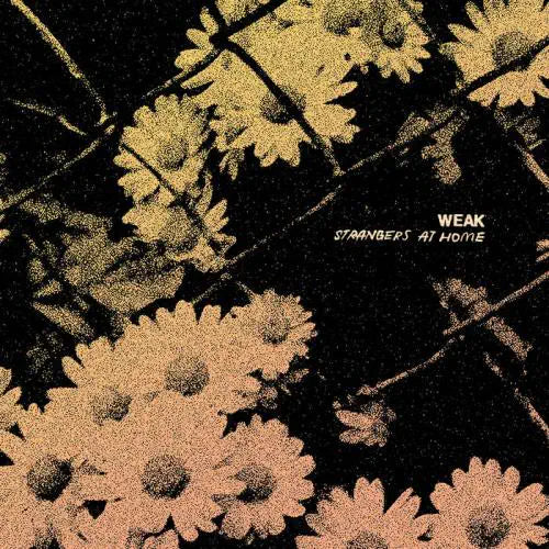 Weak  - Strangers At Home  - Import LP Record