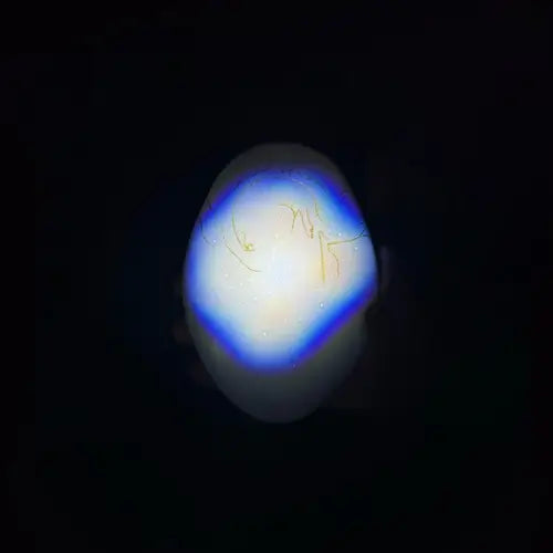 Donato Dozzy & Sabla - Morpho - Import 12 inch Record