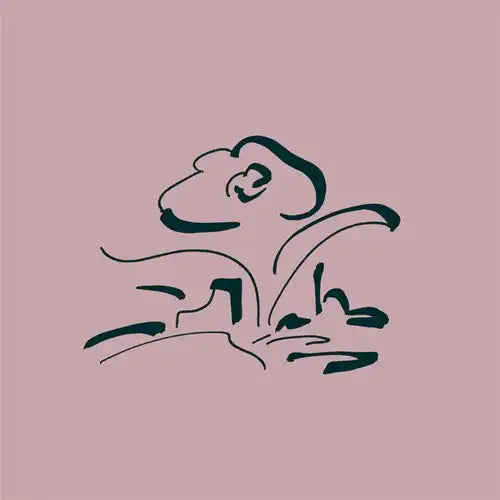 Lullatone - Music For My Friend'S Flower Shop - Import Cassette Tape