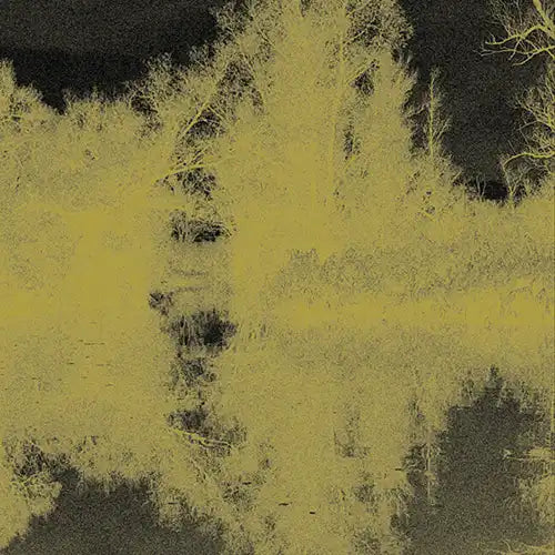 Masami Tada  - Ever-Present  - Japan Cassette Tape