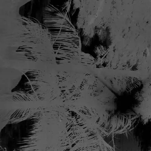 Agora(Electronica) - Agora - Japan Cassette Tape