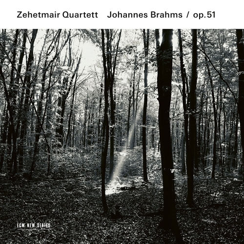 Zehetmair Quartett - Brahms:String Quartet No.1&2 - Import CD
