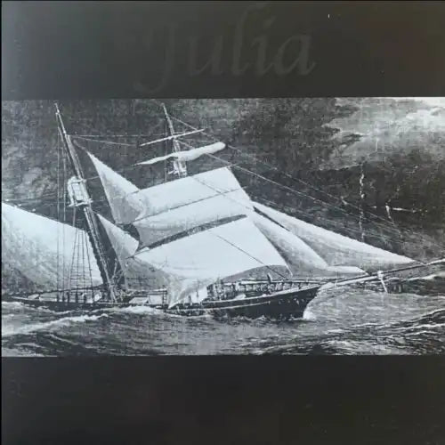 Julia (Punk) - Julia - Import Vinyl LP Record