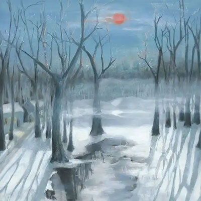 Schatterau - Ubers Jahr - Import Vinyl LP Record