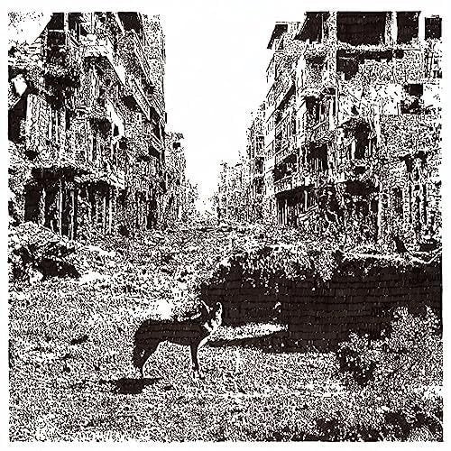 Vox Low - Keep On Falling - Import CD