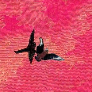 Sebastian Rojas - En La Orilla - Import Vinyl LP Recurd