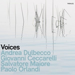 Giovanni Ceccarelli - Voices - ImportCD