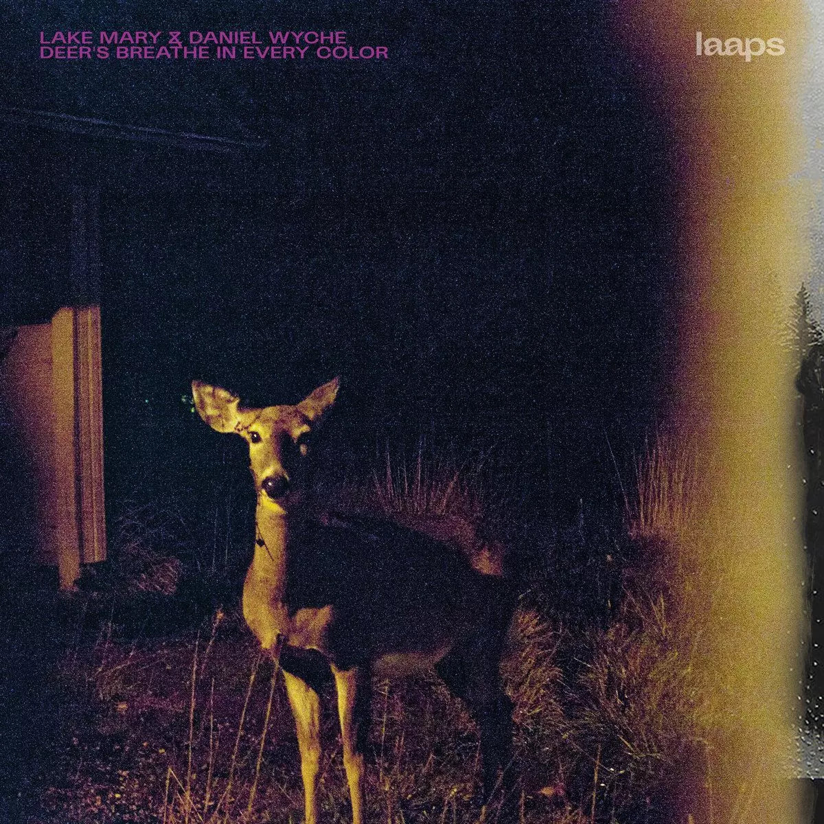 Lake Mary & Daniel Wyche - Deer'S Breathe In Every Color - Import Vinyl LP Record