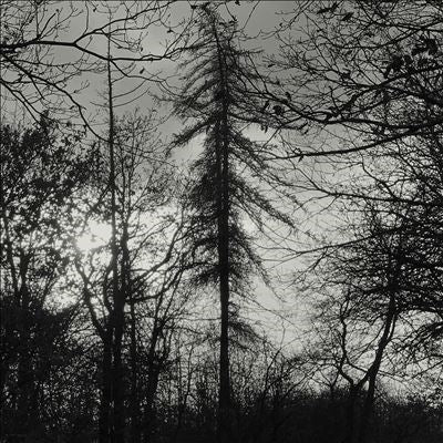 Curse All Kings - Feral Earth - Import CD