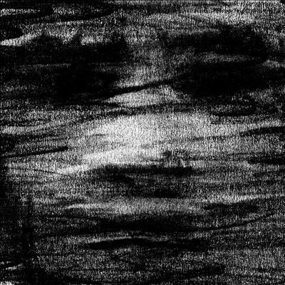 Born Erased - Birds Drink My Blood - Import CD