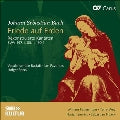 Terry Wey - Bach: Friede Auf Erden - Reconstructed Cantatas BWV 197.1, BWV 80.1, BWV 190.1 - Import CD