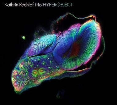 Kathrin Pechlof Trio - Hyperobjekt - Import CD