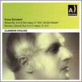 Clemens Krauss - Schubert: Mass No.6 D.950; Mozart: Violin Concerto No.4 / Clemens Krauss - Import 2 CD