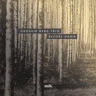 Oddgeir Berg Trio - Before Dawn - Import LP Record