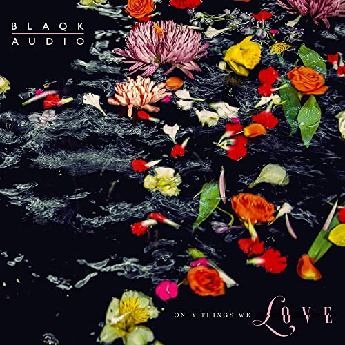 Blaqk Audio - Only Things We Love - Import Import Disc