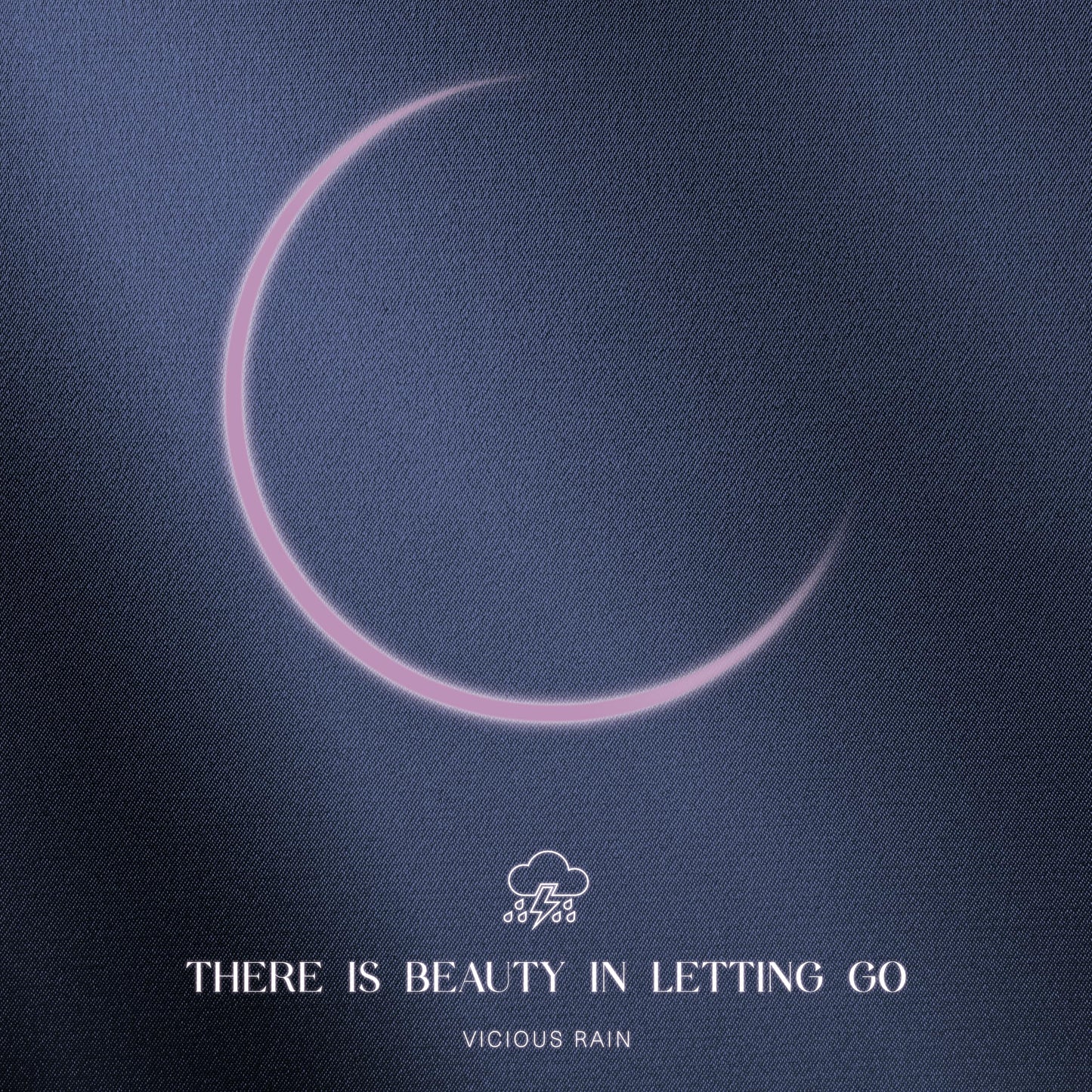 Vicious Rain - There Is Beauty In Letting Go - Import CD