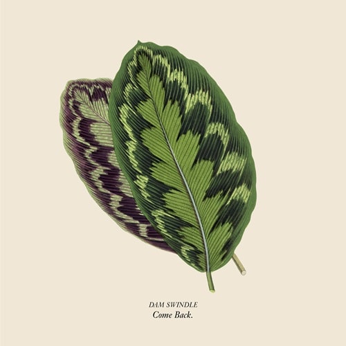 Dam Swindle - Come Back - Import 12 inch Record