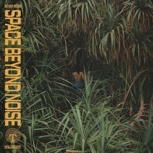 Not Even Noticed - Space Beyond Noise - Import LP Recurd