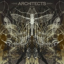Architects - Ruin - Import Picture Vinyl LP Record Limited Edition