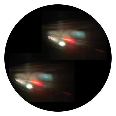 Tigerskin - Image - Import Vinyl 12 inch Record