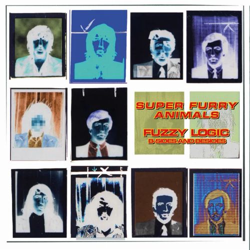 Super Furry Animals - Fuzzy Logic (B-Sides & Besides) - Import Green Bottle Vinyl 12 Inch Record
