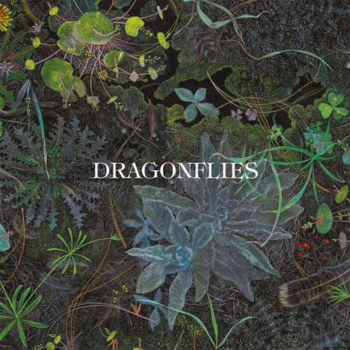 Dragonflies Draw Flame - Dragonflies (Exclusive) - Import Red Vinyl LP Record Limited Edition