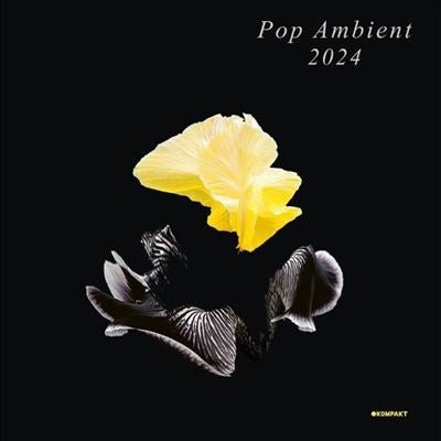 Various Artists - Pop Ambient 2024 - Import Vinyl LP Record Limited Edition