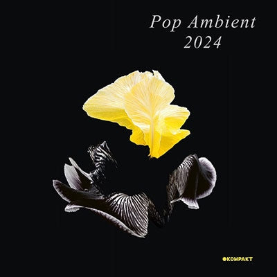 Various Artists - Pop Ambient 2024 - Import CD Limited Edition