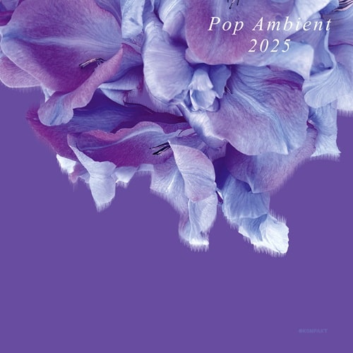 Various Artists - Pop Ambient 2025 - Import CD