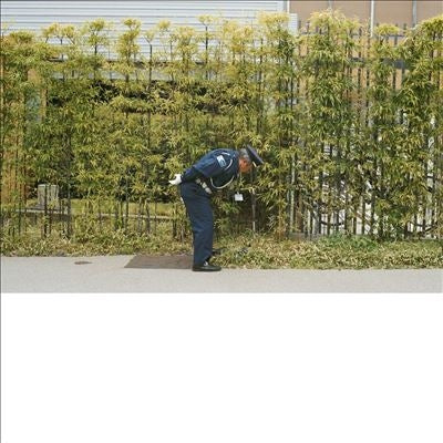 Gold Panda - Good Luck & Do Your Best - Import Light Green Vinyl LP Record