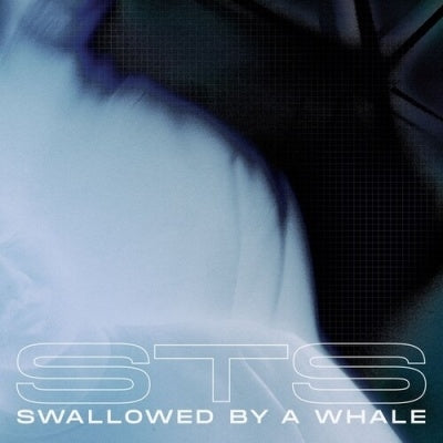Sts (Detroit) - Swallowed By A Whale (Incl. Danny Daze X Jonny From Space & Warzou Remixes) - Import Vinyl 12 inch Record