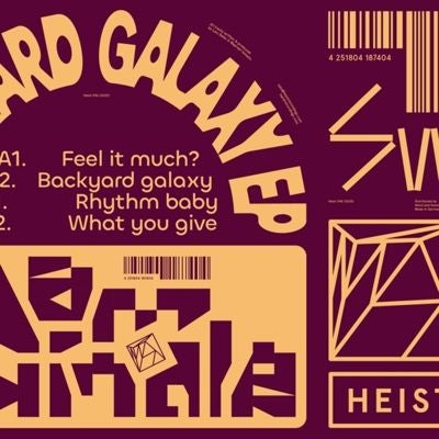 Dam Swindle - Backyard Galaxy - Import 12 inch Record