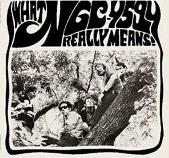 Ngc-4594 - What Ngc-4594 Really Means! - Import LP Record +7"