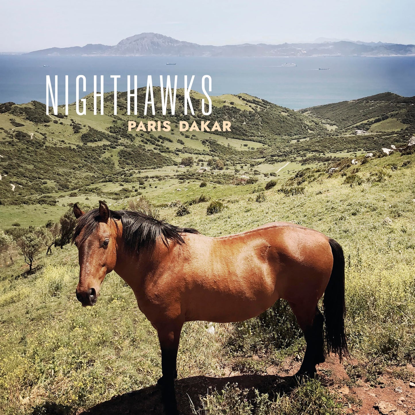 Nighthawks - Paris Dakar - Import CD