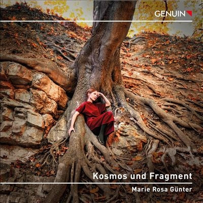 Kallmeyer / Webern / Beethoven - Kosmos Und Fragment - Import CD
