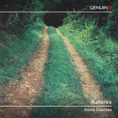 Christophe Pantillon Chaillou, David (1971-) - Natures - Import CD