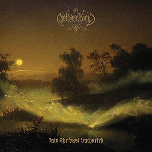 Netherbird - Into The Vast Uncharted - Import CD