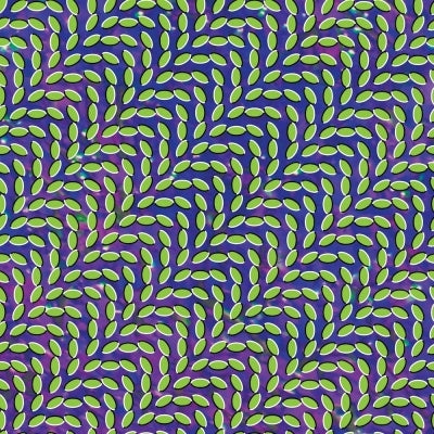 Animal Collective - Meriwether Post Pavilion - Japan CD Bonus Track