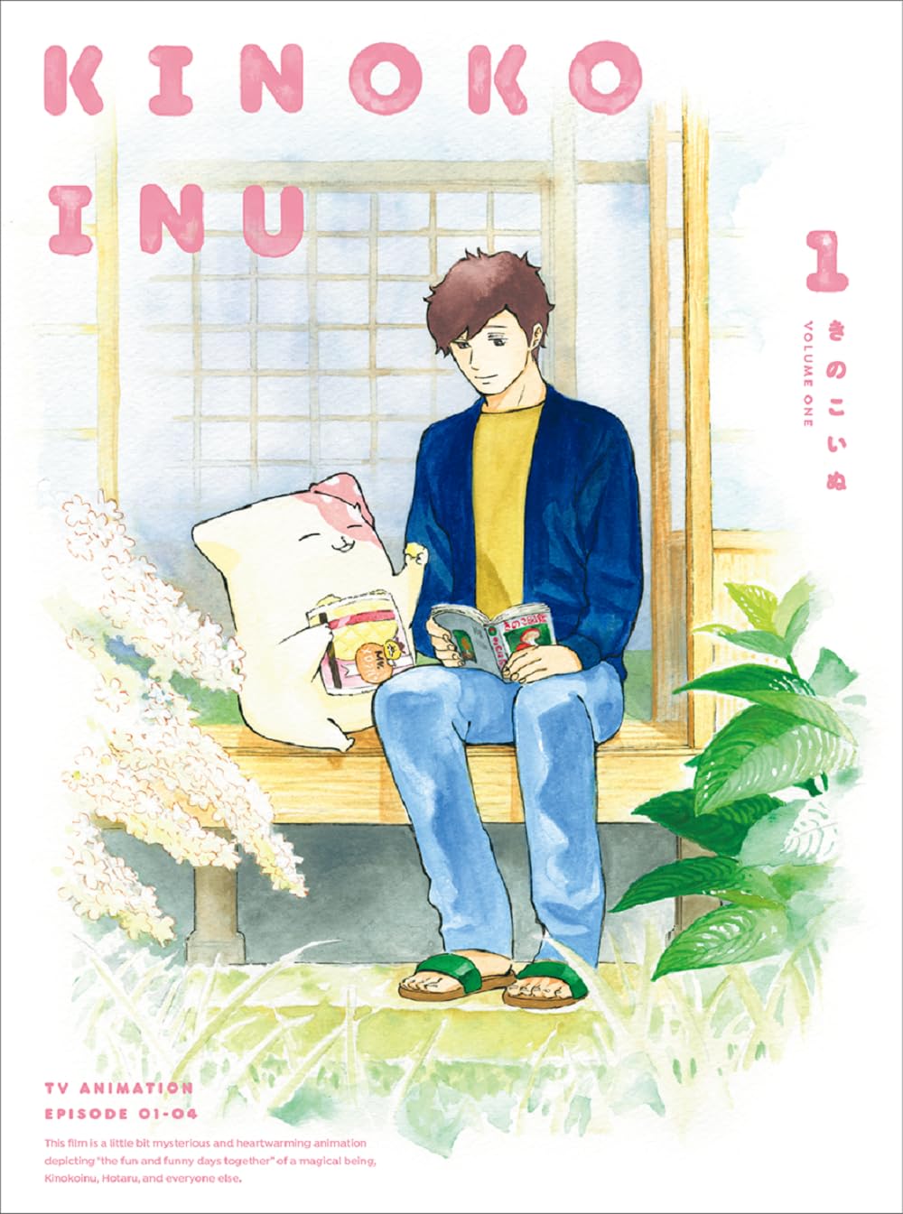 (Documentary) - In Vanda's Room - Japan Blu-ray Disc