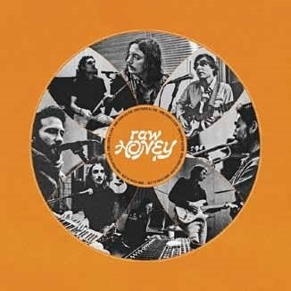 Drugdealer - RAW HONEY - Japan CD Bonus Track