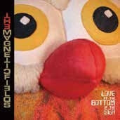 The Magnetic Fields - LOVE AT THE BOTTOM OF THE SEA - Import CD